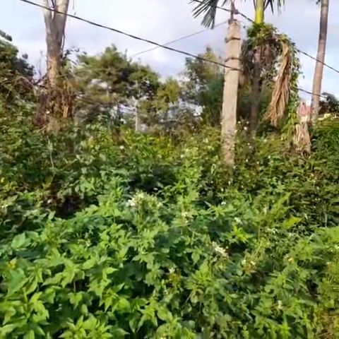 Đất nền Phú Xuân 565.5m² giá 1.118 tỷ - Gần trường học, thuận tiện giao thông!