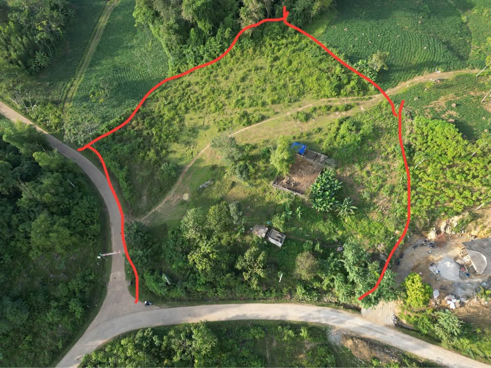 Đất nền Phú Cường Tân Lạc 5400m² giá chỉ 2 tỷ - Mặt tiền 100m, tiện lợi xe 45 chỗ!