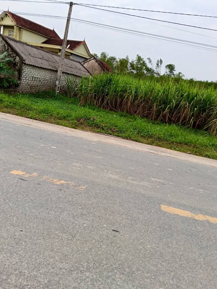 Đất nền Quỳnh Châu 420m² giá thỏa thuận - Đầu tư sinh lời ngay!