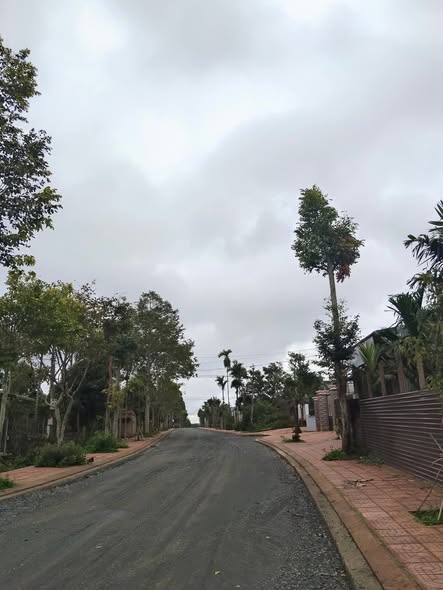 Đất thổ cư đường Trần Phú, Buôn Ma Thuột 222m² giá 2.304 tỷ - Cơ hội đầu tư vàng!