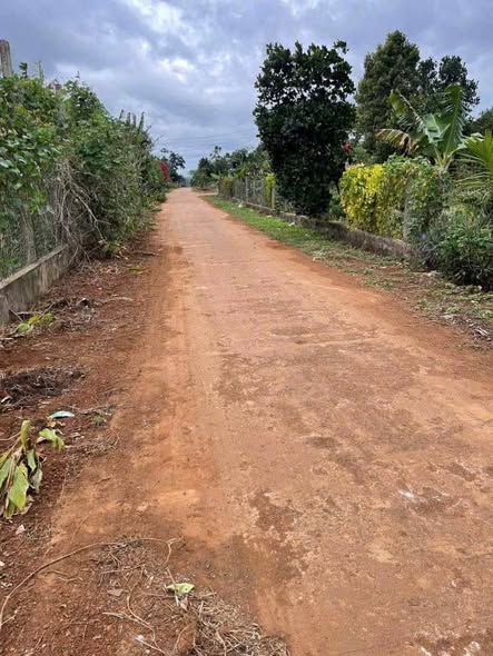 Đất nền thổ cư 397m² tại xã Ea Hồ, Krông Năng giá chỉ 700 triệu - Cơ hội đầu tư tuyệt vời!