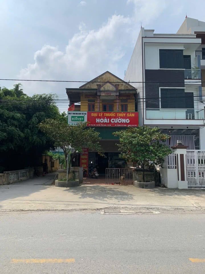 Bán nhà mặt phố Sơn Hà, Phú Xuyên 100m² giá 15 tỷ - Lô góc 3 mặt tiền kinh doanh