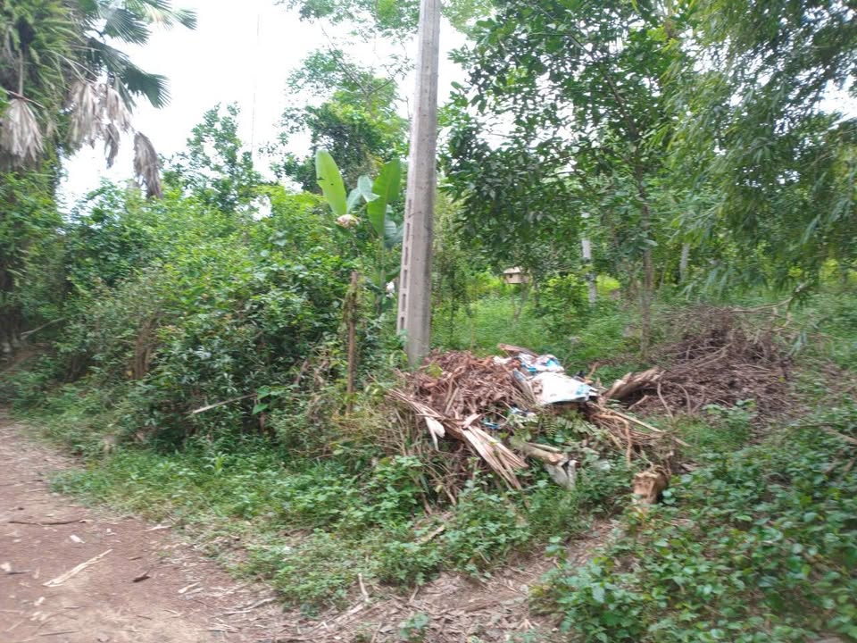 Đất nền 3788m² tại Bảo Hiệu, Yên Thủy - Giá cả thỏa thuận, đầu tư sinh lời!