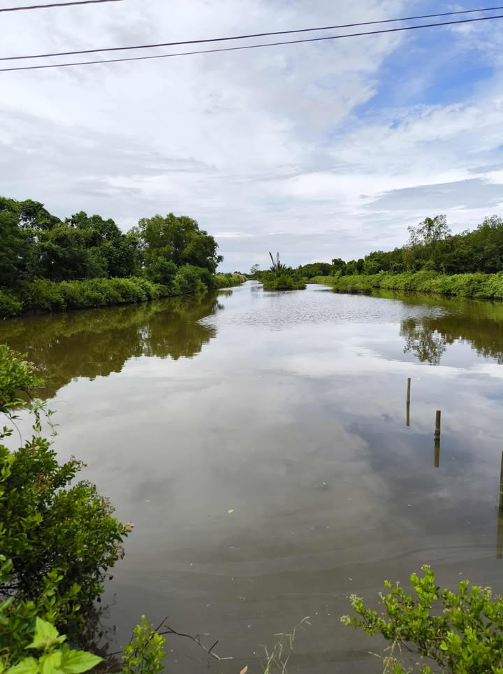 Đất nền chính chủ 90.000m² tại Lâm Hải, Năm Căn - Giá chỉ 1 tỷ VND!