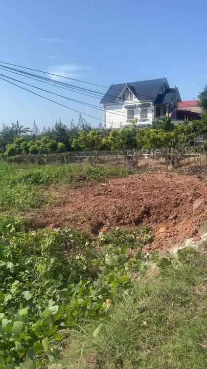 Đất nền Trại 1, Phượng Sơn, Bắc Ninh 500m² - Vị trí kinh doanh đắc địa!