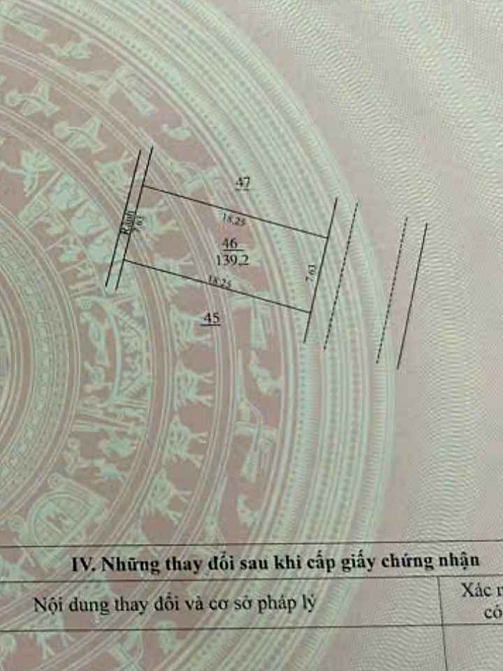 Đất dịch vụ Thăng Long 9, Kim Chung, Hoài Đức 139.2m² - Vị trí đẹp, đầu tư sinh lời!