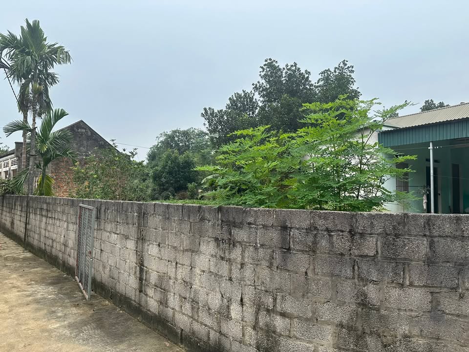 Đất nền Ba Trại, Ba Vì 900m² giá chỉ 5 tỷ - Tiềm năng sinh lời cao!