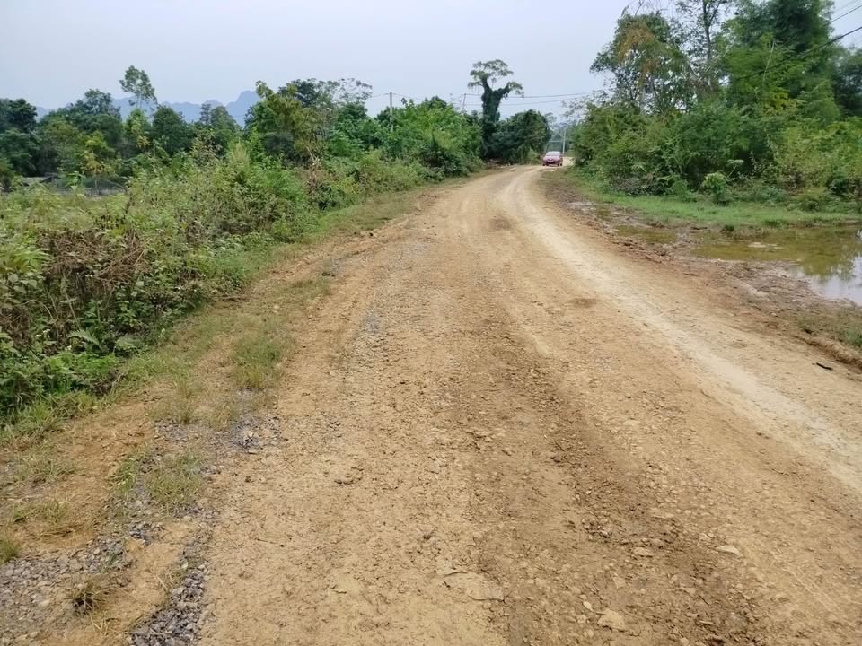 Đất nền Phú Vinh Tân Lạc 5500m² giá 2 tỷ - Cơ hội đầu tư tuyệt vời!