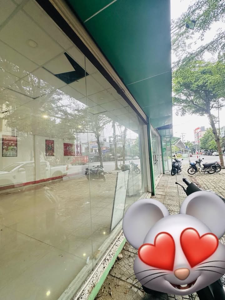 Bán lô góc 2 mặt tiền đường Nam Trân, 204m² chỉ 23 tỷ - Cơ hội đầu tư vàng!