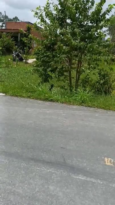 Đất mặt tiền tỉnh lộ 849, xã Bình Thành, Đức Huệ - 549.8m² chỉ 1.2 tỷ - Đầu tư sinh lời ngay!