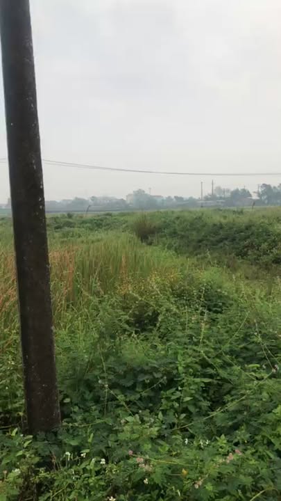 Đất nền Quỳnh Thạch 200m² giá 2.5 tỷ - Lô kẹp góc hướng Đông!