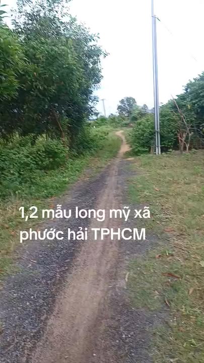 Đất Long Mỹ, Phước Hải, 12000m² giá 18 tỷ - Tiềm năng đầu tư lớn!