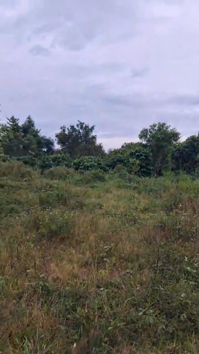 Đất vườn 2,2ha tại xã Ia Pnôn, Đức Cơ - Giá chỉ 1 tỷ VND, cơ hội đầu tư tuyệt vời!