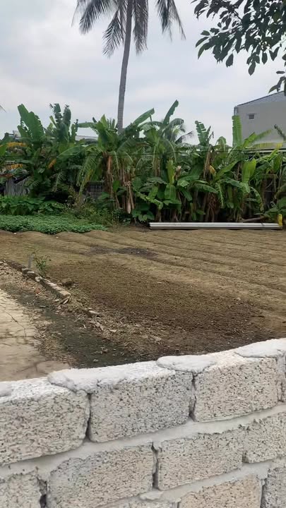 Đất nền Hải Nhân Nghi Sơn 400m² giá 1.5 tỷ - Cơ hội đầu tư tuyệt vời!