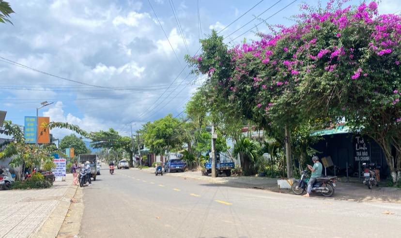 Nhà mặt tiền Bùi Thị Xuân, Bảo Lộc, 100m² giá 6 tỷ - Đầu tư sinh lời tuyệt vời!