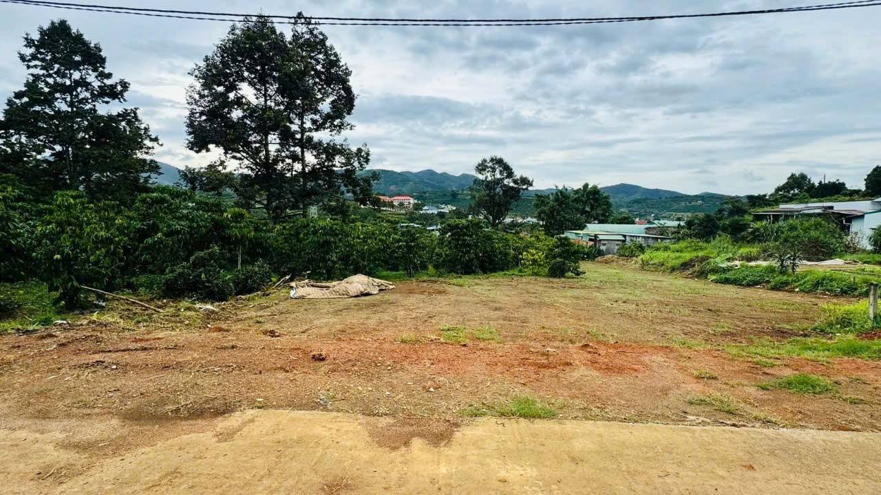 Đất nền Bảo Lộc 1045m² giá 1.8 tỷ - Cơ hội đầu tư tuyệt vời!