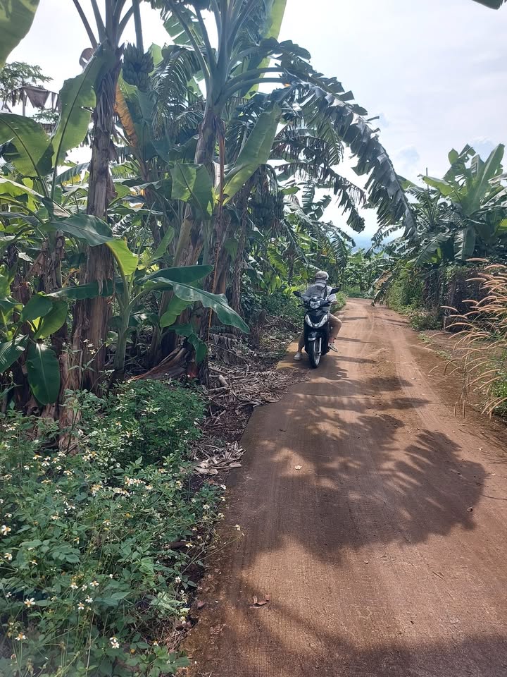 Đất nền Quang Trung, Thống Nhất, Đồng Nai 6649m² giá 2.8 tỷ - Cơ hội đầu tư hấp dẫn!