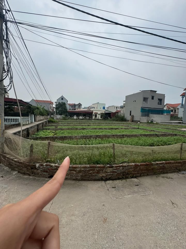 Đất nền Thư Phú Thường Tín 44m² giá 2.6 tỷ - Lô góc 2 mặt tiền kinh doanh hiếm có!