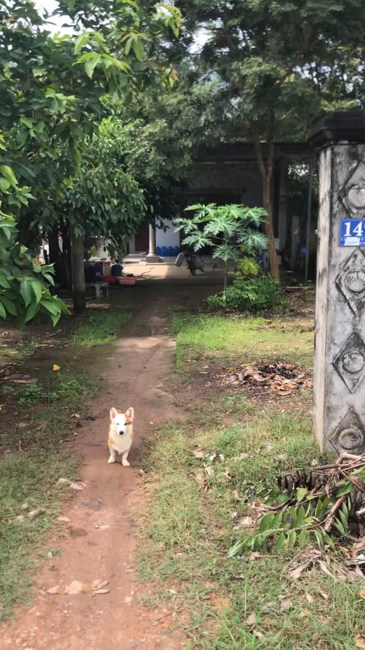 Nhà mặt tiền thôn 1, xã Gia Huynh 400m² giá 1.1 tỷ - Cần bán gấp!