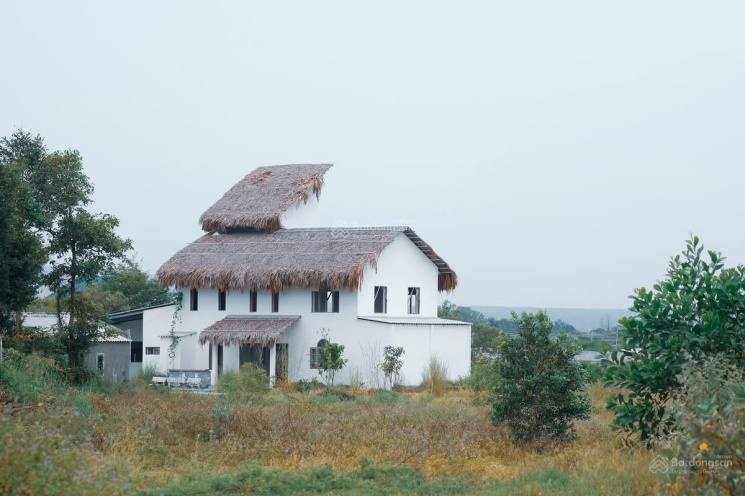 Bán đất biển Tân Thuận 8100m² giá 37 tỷ - Tặng villa 5 phòng ngủ cao cấp!