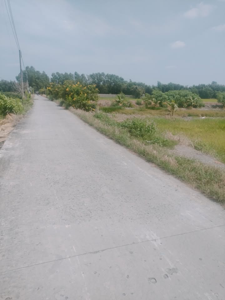 Đất thổ cư 4700m² tại xã Mỹ Thạnh, Thủ Thừa, Long An - Cơ hội đầu tư tuyệt vời!