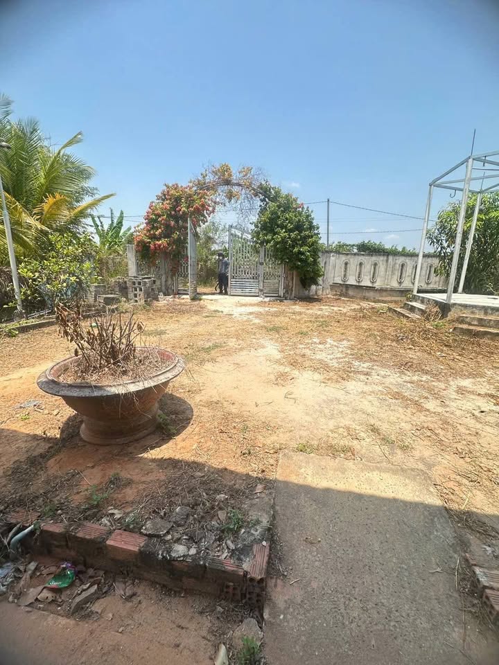 Đất nền xã Hàm Minh, huyện Hàm Thuận Nam, 1252m² chỉ 950 triệu - Cơ hội đầu tư tuyệt vời!