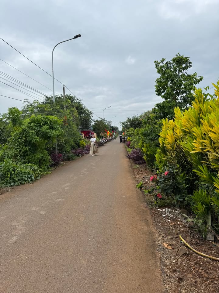 Đất nền Bình Giã, Châu Đức, Bà Rịa - Vũng Tàu 194m² giá 439 triệu - Cơ hội đầu tư hấp dẫn!