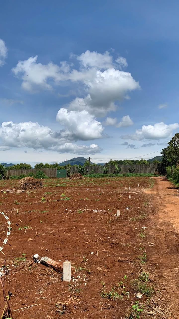 Nhà hẻm 126 Phạm Hùng, Biển Hồ, Gia Lai 125m² giá 200 triệu - Pháp lý rõ ràng, sẵn sàng ở ngay!