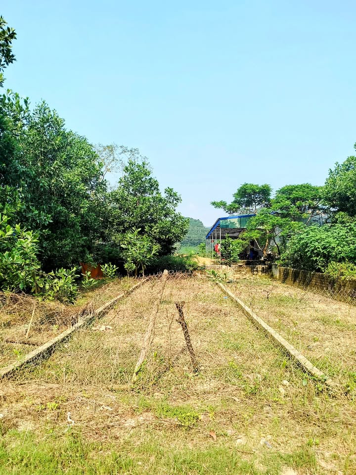 Đất thổ cư 125m² xã Phú Thành, Lạc Thủy - Giá thỏa thuận hợp lý!