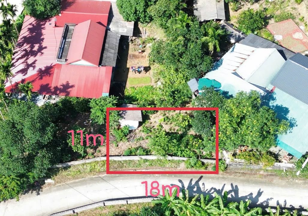 Lô đất Yên Mông 50m² giá chỉ 600 triệu - Đầu tư sinh lời hấp dẫn!