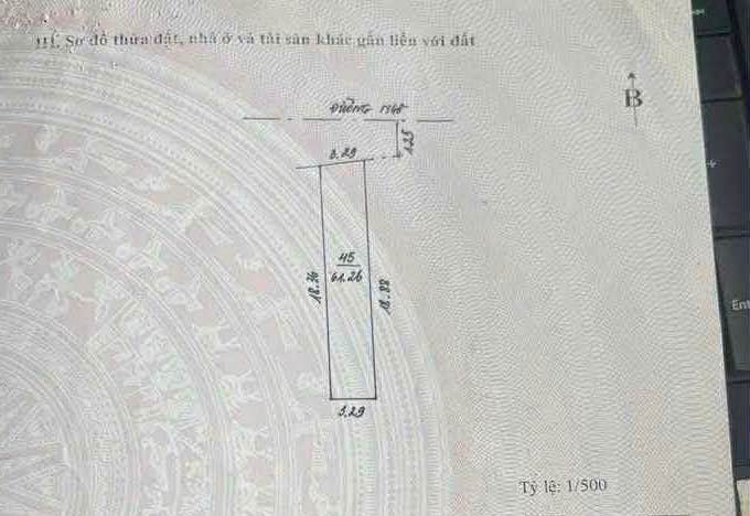 Đất nền Tân Hòa, Hòa Bình 61m² giá 800 triệu - Đầu tư sinh lời ngay!