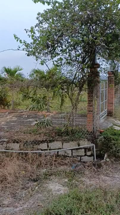 Đất vườn Tân Phước, La Gi 3600m² - Đầu tư sinh lời, nghỉ dưỡng tuyệt vời!