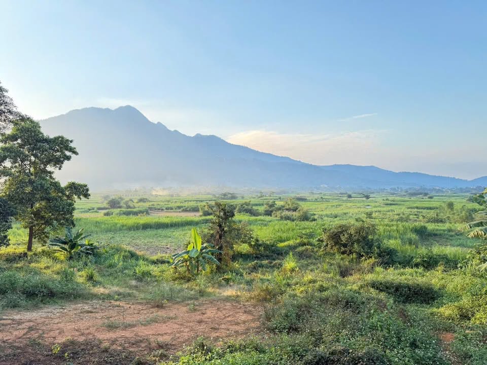 Đất nền xã Yên Bài, Ba Vì 3000m² - Thế đất thoai thoải, view núi tuyệt đẹp!