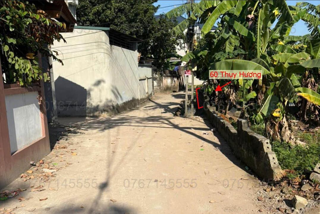 Đất nền Thụy Hương 60m² giá 2 tỷ - Sổ đỏ chính chủ, tiện ích đầy đủ!