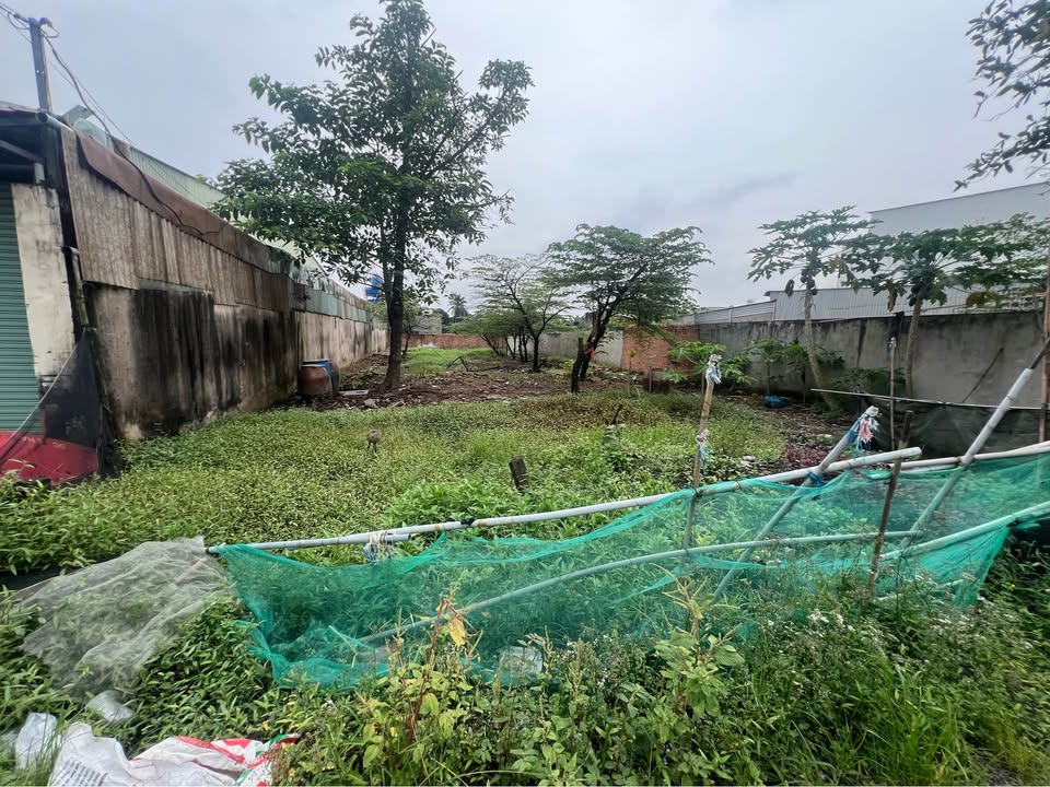 Đất nền mặt tiền đường 156, Bình Mỹ, Củ Chi, 566m² - Sổ đỏ chính chủ, giá 9,8 tỷ!