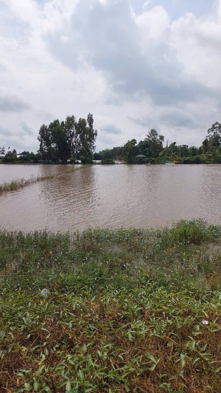 Đất thổ cư Minh An, Châu Thành, 18511.65m² giá 1 tỷ - Đầu tư sinh lời ngay!