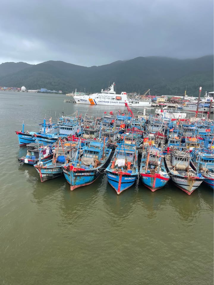 Lô đất Bà Bang Nhãn, Hòa Hải, Ngũ Hành Sơn, Đà Nẵng - 144m² giá 7.9 tỷ - Đầu tư sinh lời tuyệt vời!