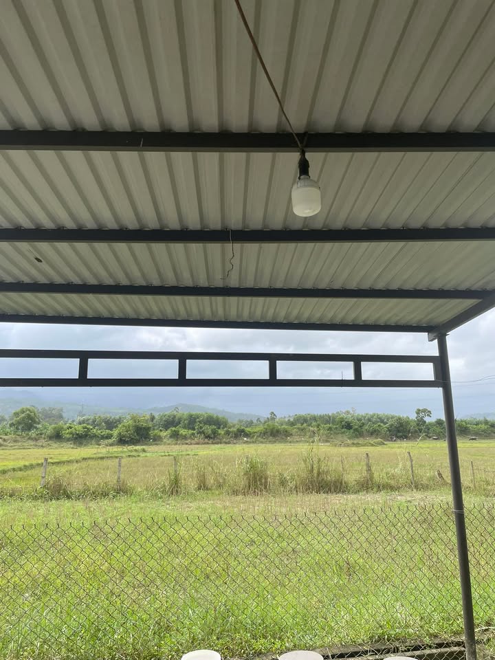 Đất Duy Trinh Duy Xuyên 202m² giá 8xx triệu - Tặng kèm nhà cấp 4