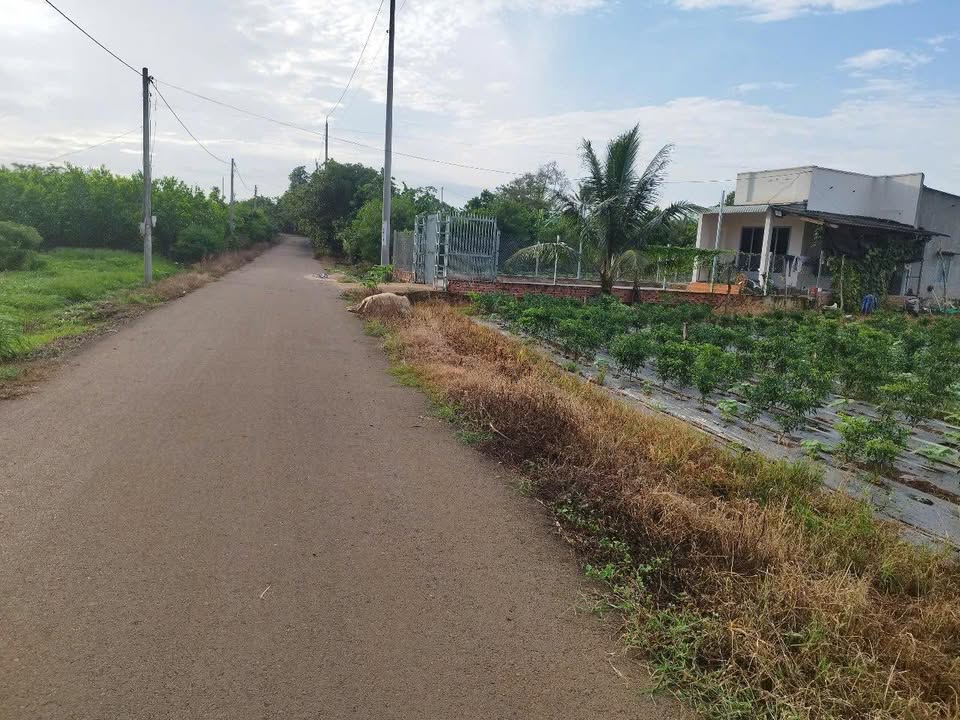 Đất nền Bình Ba, Châu Đức 1800m² giá 2.2 tỷ - Lợi nhuận đầu tư cao!