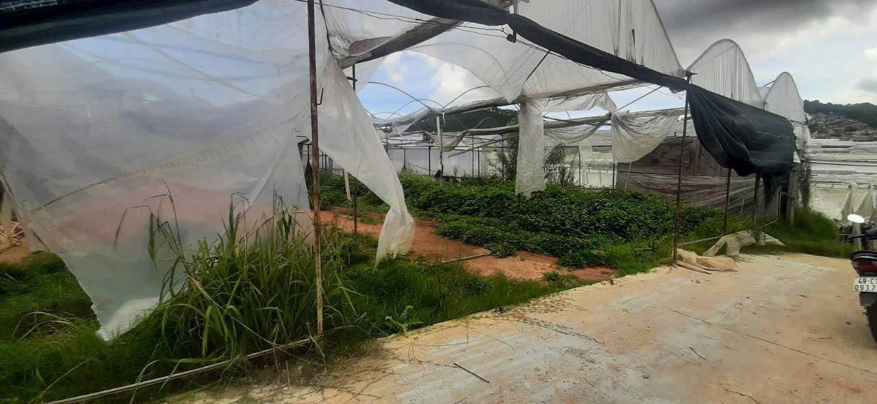 Đất hẻm ô tô Trần Cao Vân, Đà Lạt 564m² giá 7 tỷ - Đầu tư lý tưởng!