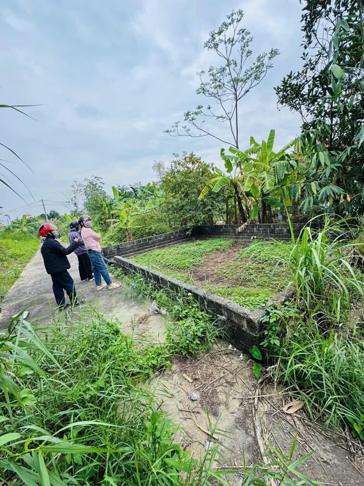 Đất nền Chương Dương Thường Tín 33m² giá 1.92 tỷ - Đầu tư sinh lời ngay!