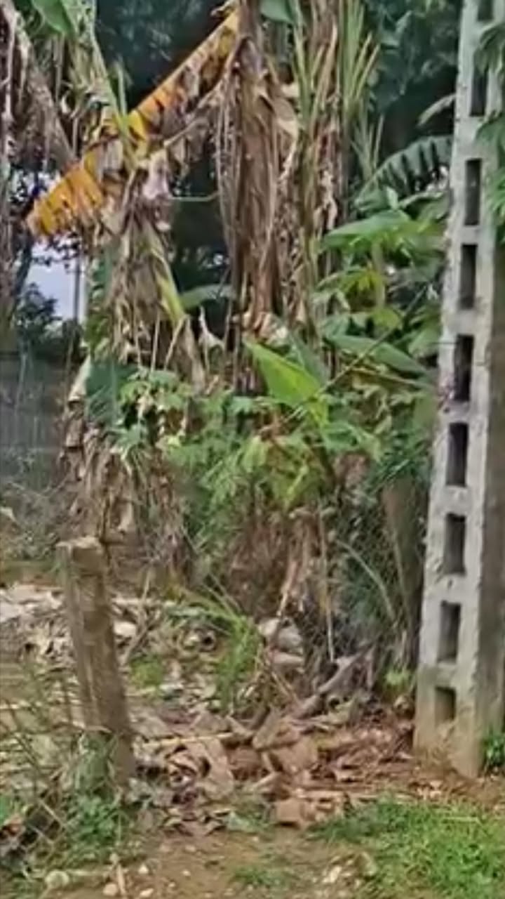 Đất nền An Phú Đà Nẵng 100m² giá 590 triệu - Cơ hội đầu tư sinh lời!