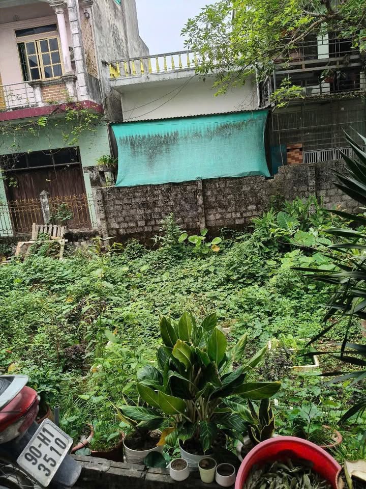 Đất nền Lý Thường Kiệt, Lê Hồng Phong 50m² giá thỏa thuận - Cơ hội đầu tư tuyệt vời!