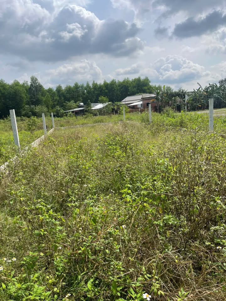 Đất nền Hòa Phong, Hòa Vang 133m² giá chỉ 1 tỷ - Nở hậu, ô tô đậu đỗ thoải mái!