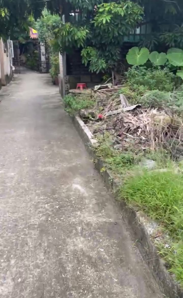 Đất thổ cư thôn Xâm Hồ, xã Vân Tảo, 40m² giá 2.82 tỷ - Đường ô tô vào tận nơi!