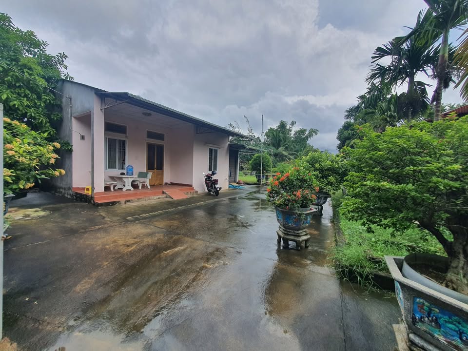 Nhà vườn 352m² tại phường Trương Quang Trọng - Giá chỉ 1.7 tỷ!