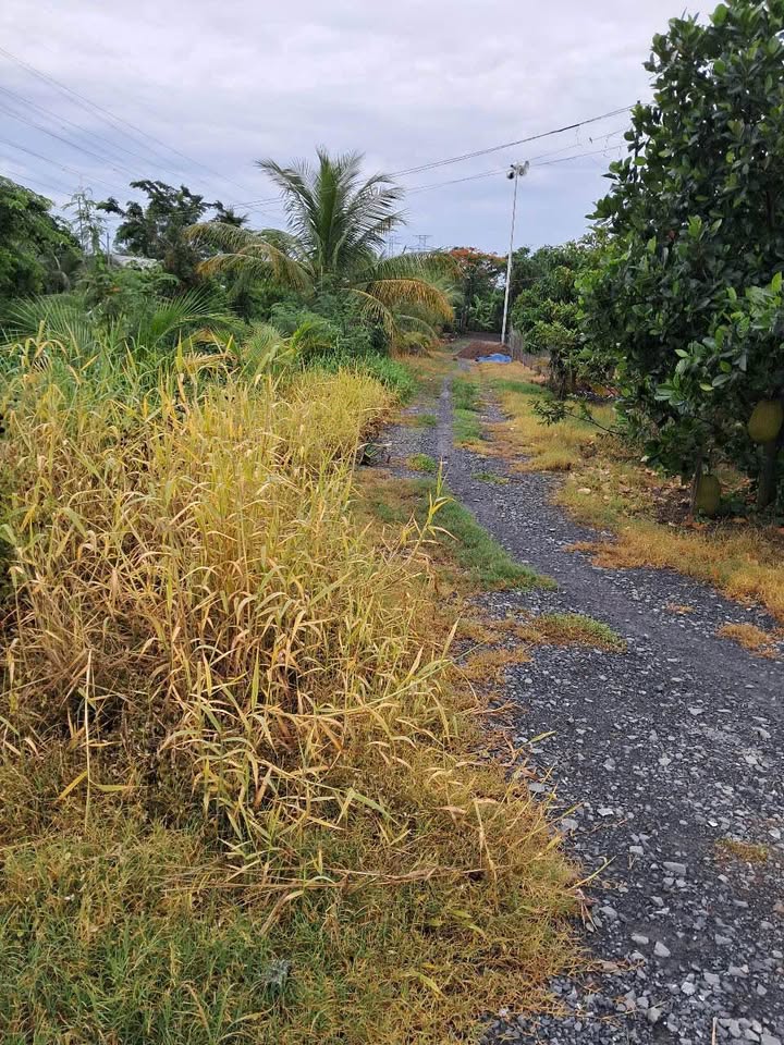 Đất nền Hòa Phú Châu Thành 162m² giá 660 triệu - Sổ hồng chính chủ!