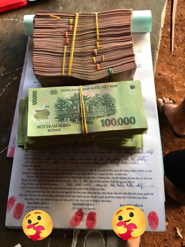 Đất vườn Thọ Sơn 1ha giá 4 tỷ - Tiềm năng đầu tư lớn!