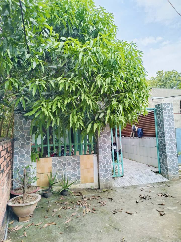 Bán nhà Trảng Dài Biên Hòa 114m² giá 1.499 tỷ - Sổ hồng riêng, thổ cư 100%!