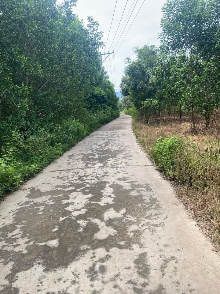 Đất nền Xuân Thành 50000m² giá 2 tỷ - Tiềm năng sinh lời lớn!